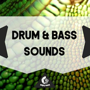 Drum &amp; Bass Sounds